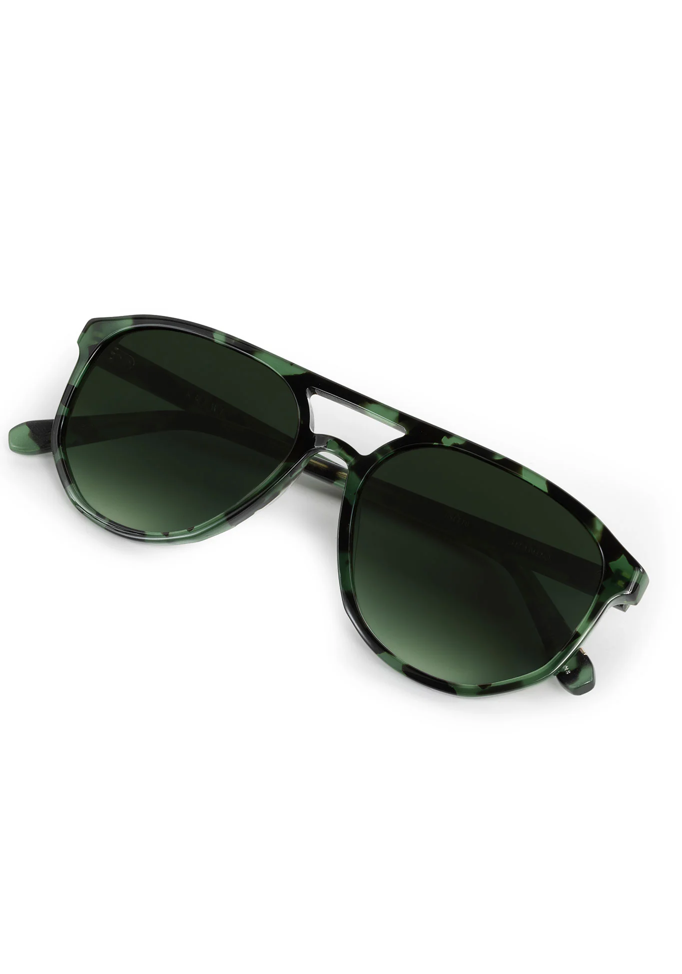 BRANDO | Hemlock Tortoise - Image 4