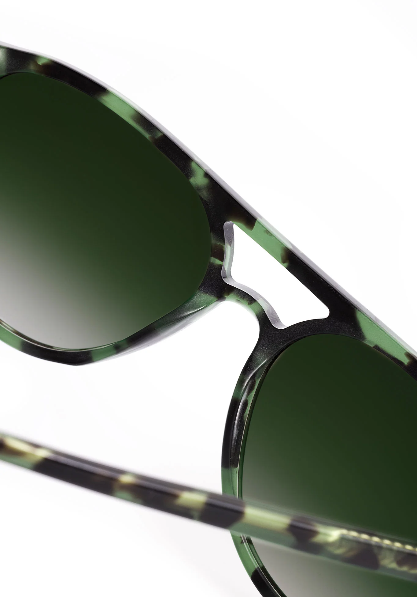 BRANDO | Hemlock Tortoise - Image 7