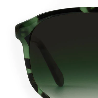 BRANDO | Hemlock Tortoise - Image 8
