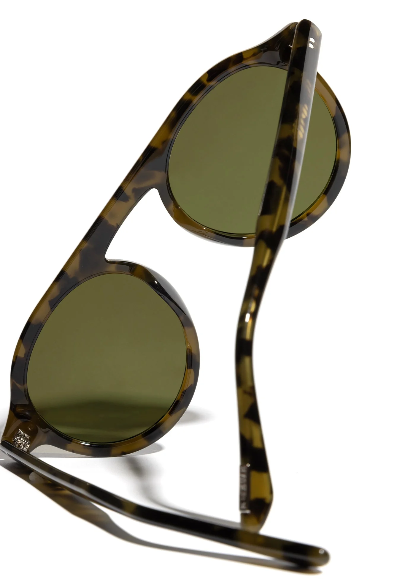 CAMERON | Tortuga Polarized - Image 7