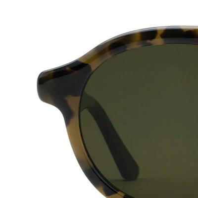 CAMERON | Tortuga Polarized - Image 8