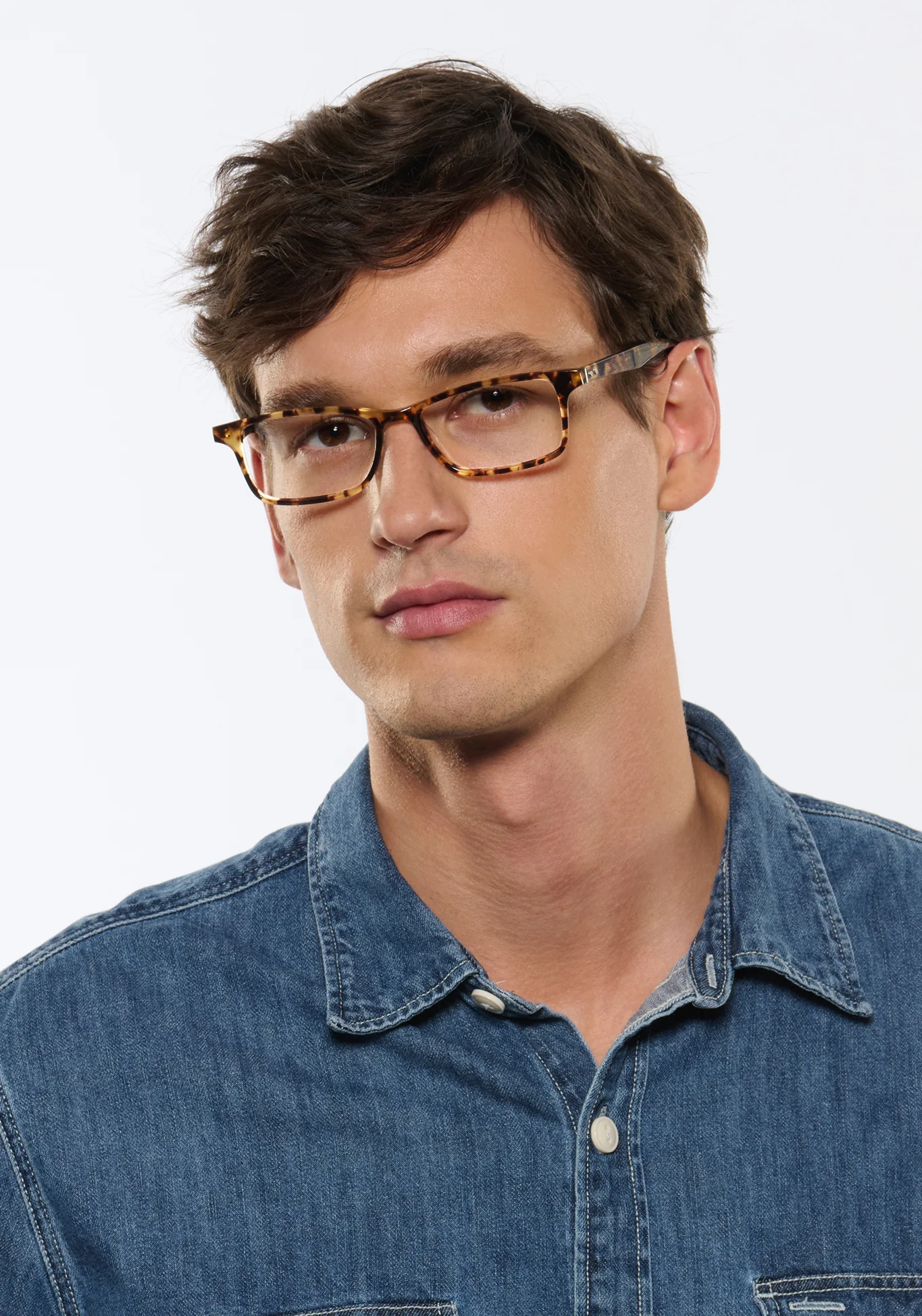 MORGAN | Nikko Tortoise - Image 5
