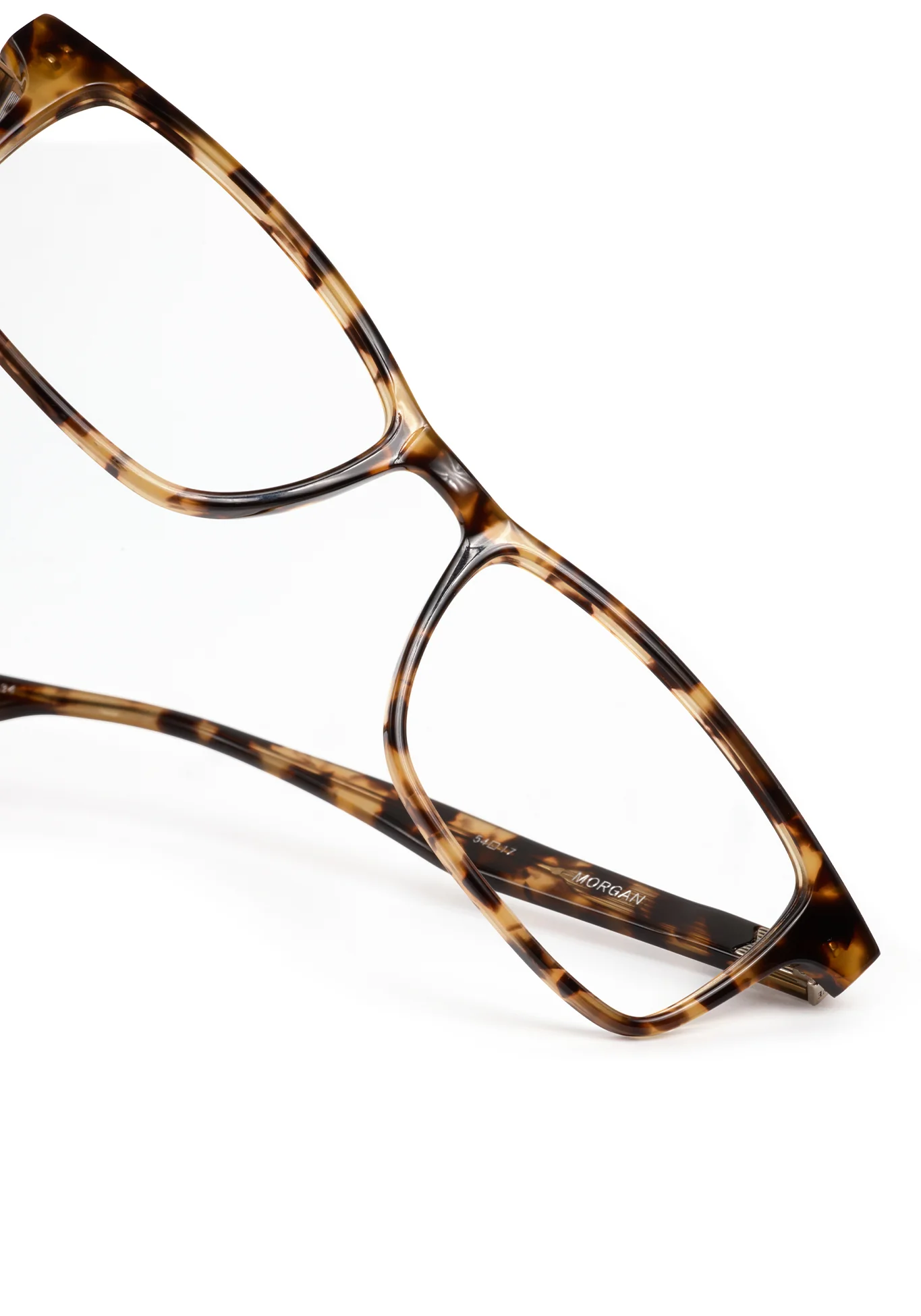 MORGAN | Nikko Tortoise - Image 6