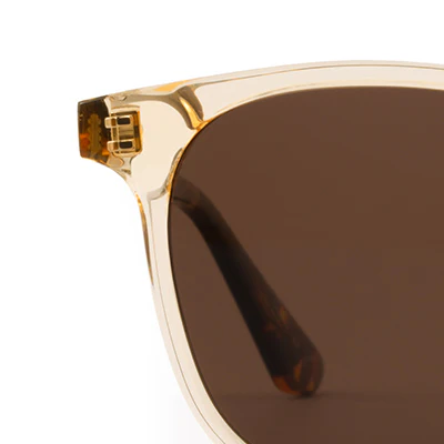 OLIVIER | Champagne + Rue Tortoise Polarized - Image 6